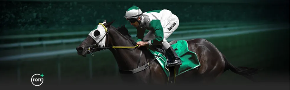 年中国国家,男排集训阵,容正式公布,新葡京,新葡京app,新葡京娱乐,新普京赌场