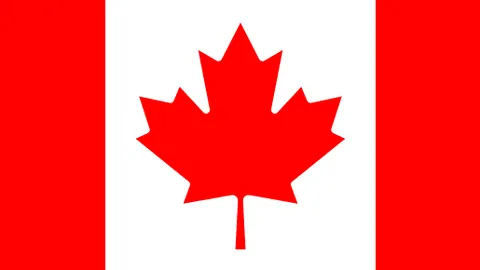 [德甲]波鸿反败为胜，贝罗一击定乾坤