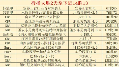 体育助力润疆情：爱国热情在运动中沸腾——文化润疆体育实践调研（2025年02月19日）